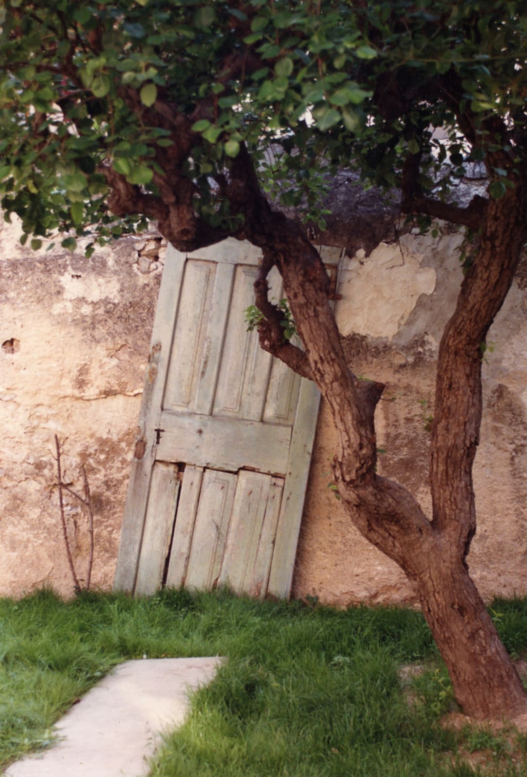 Dorothy Bohm, Provence, 1990