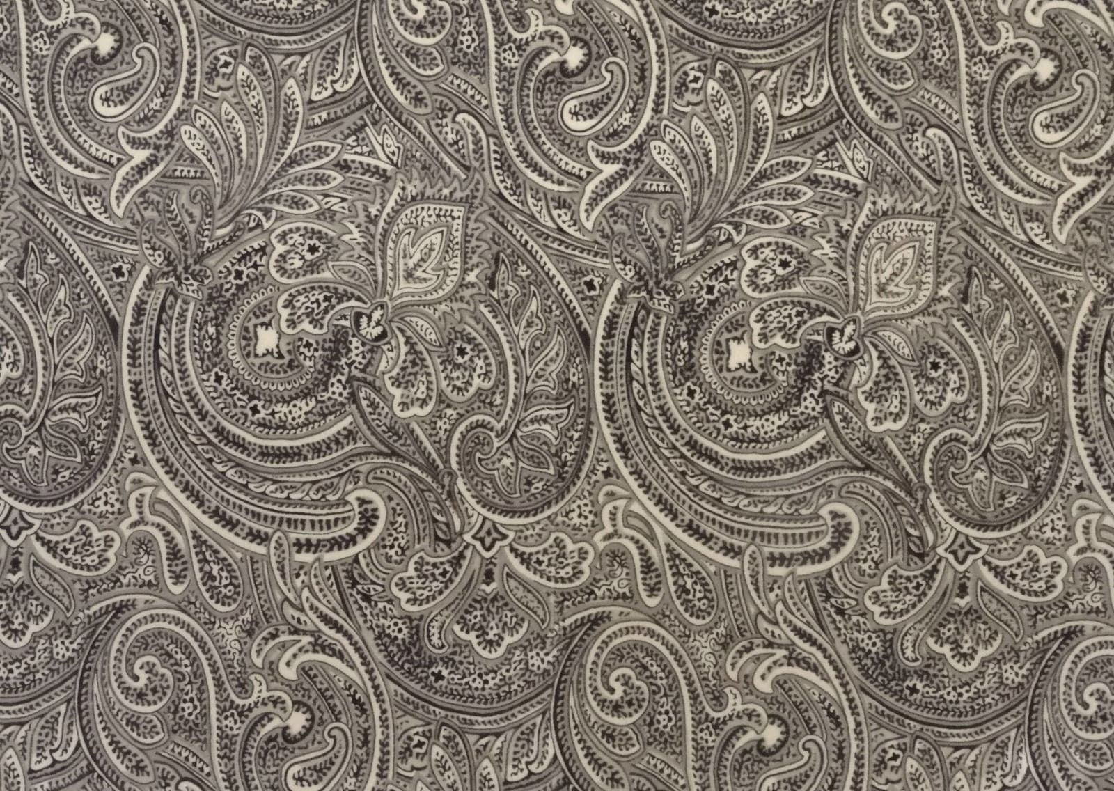 Kargil Velvet Light Gray