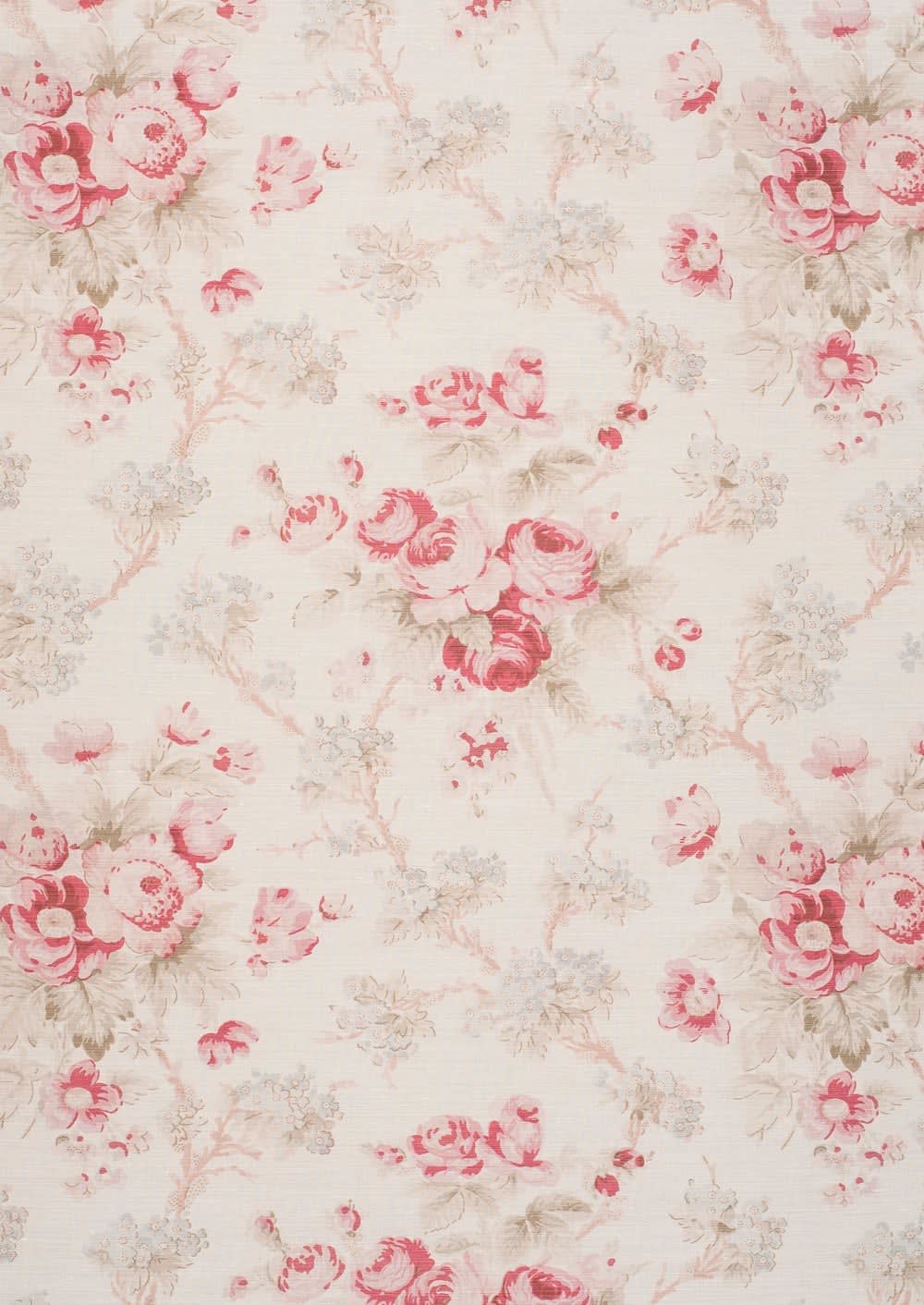 Apple Blossom Original On Oyster