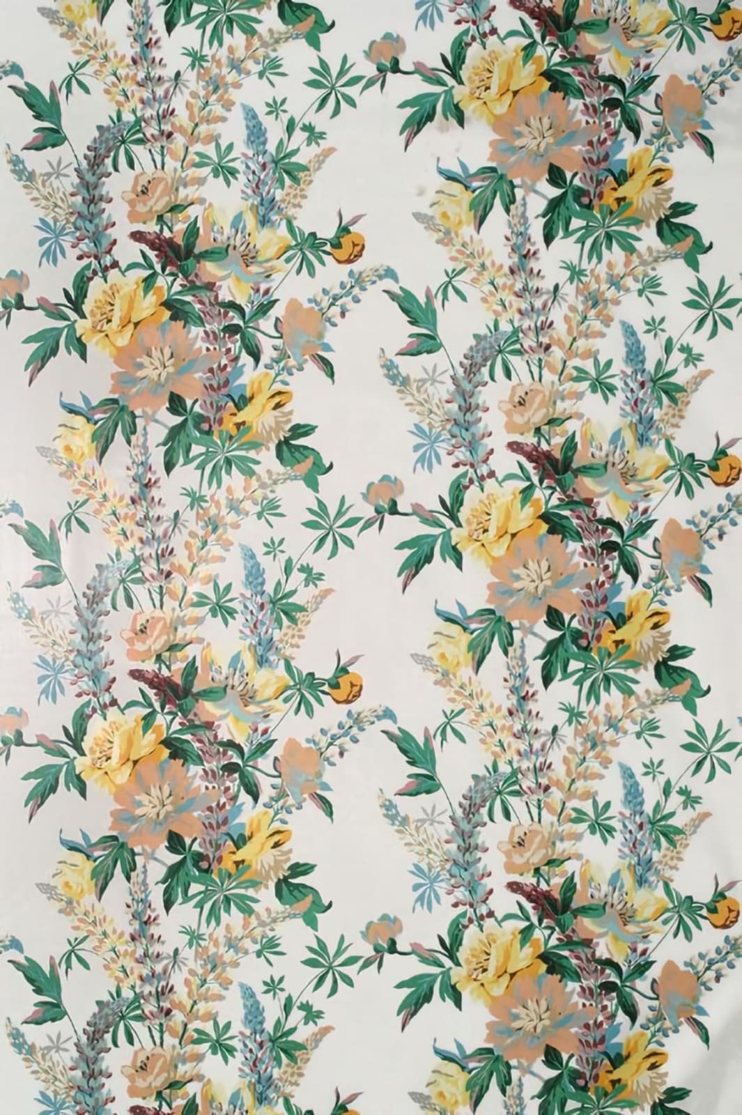 Albertina White