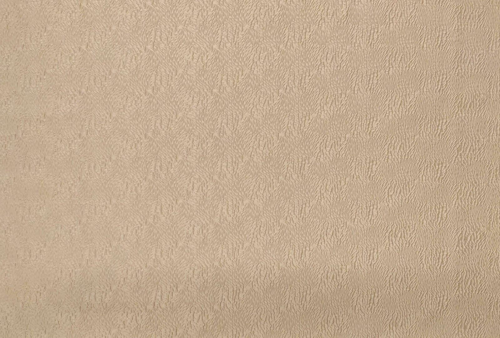 Ecume Silk Faux Plain Champagne