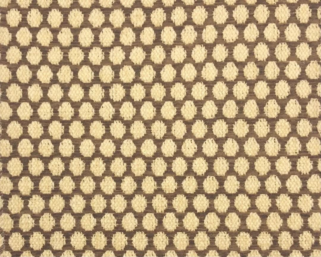 Jane Shelton, Pembrook Brown