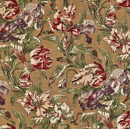 Tulipa Velvet Multi