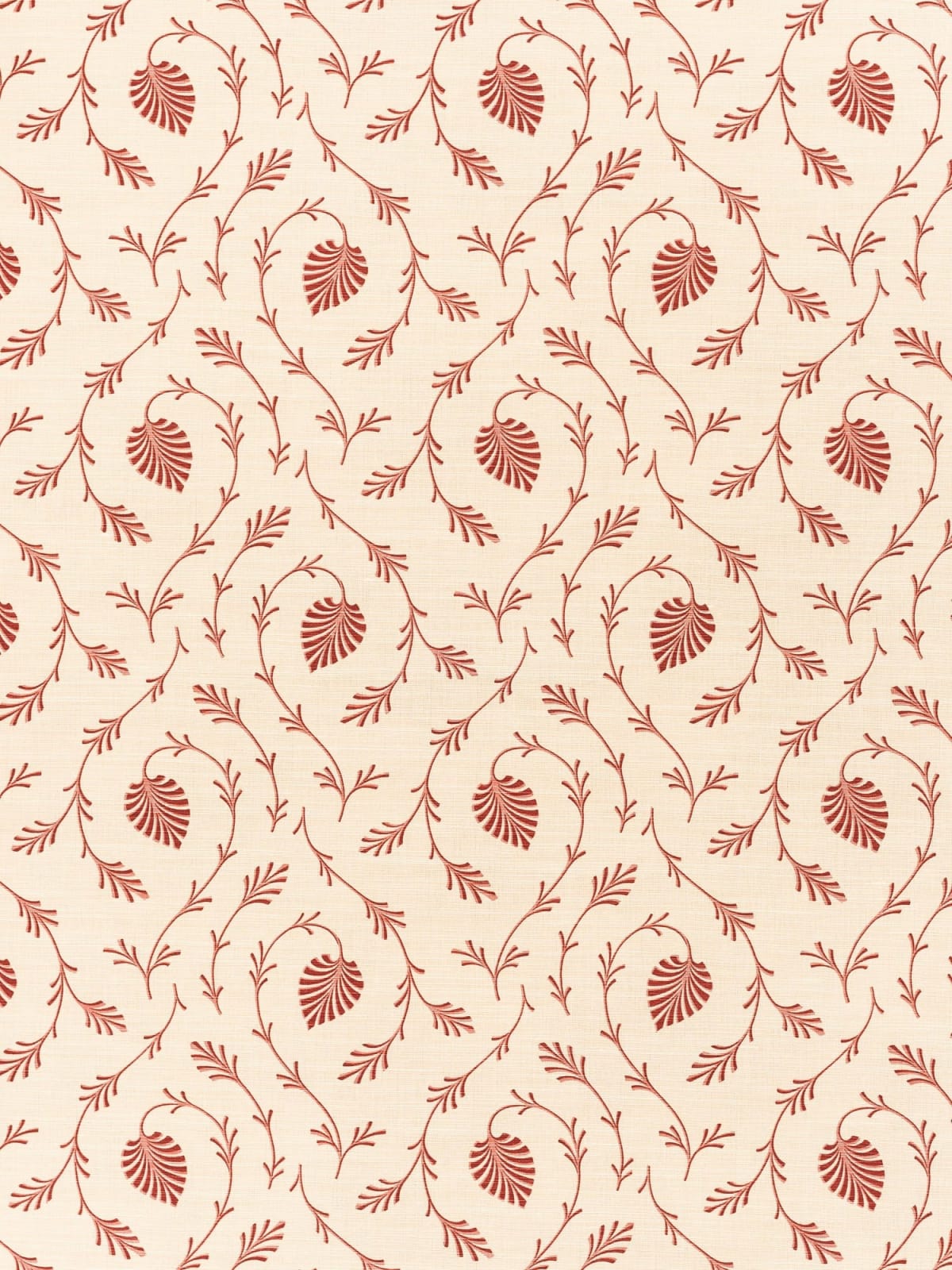 Osiris Red On Beige
