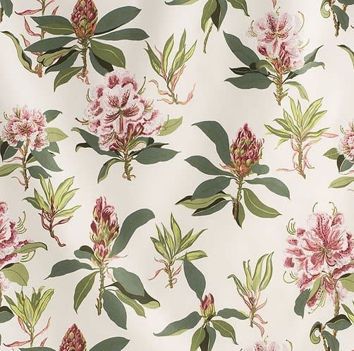 Rhododendron Sprig Pink Green