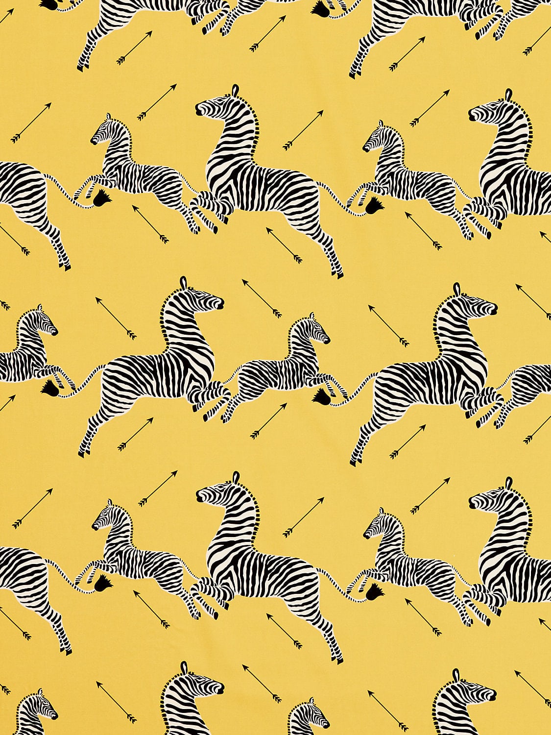 Zebras Petite Yellow