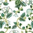 The Wedding Vine