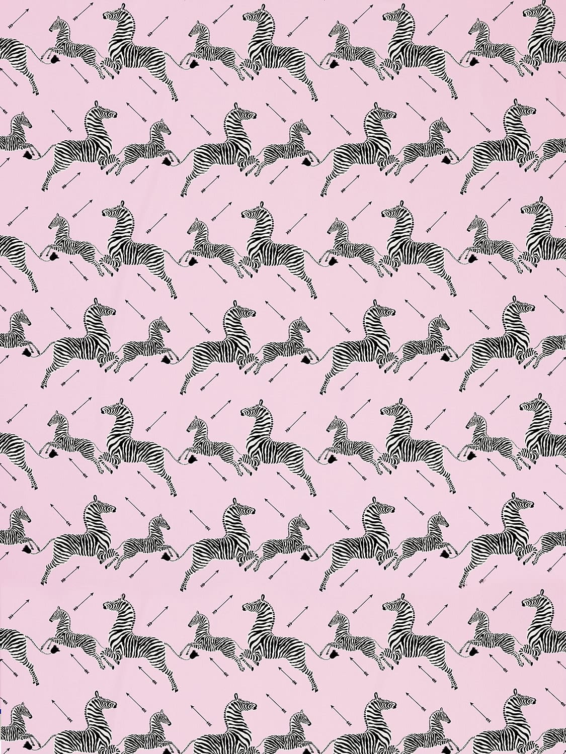 Zebras Petite Peony
