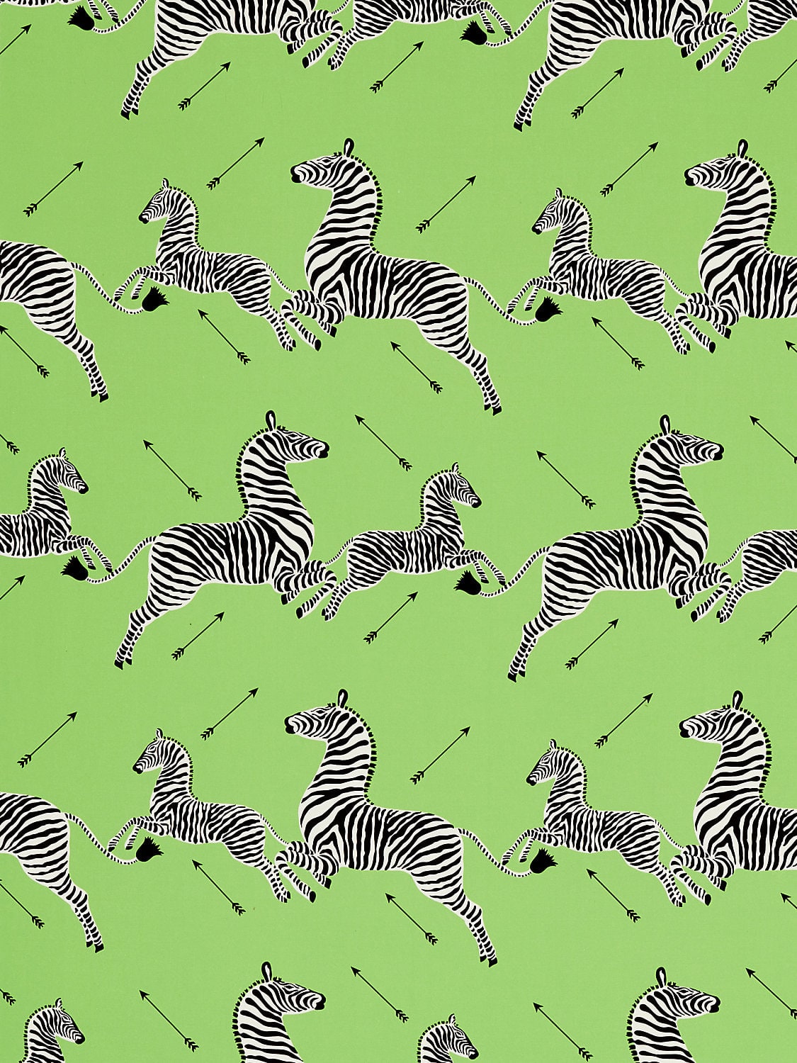 Zebras Petite Lime