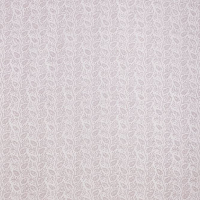 Vite Lilac