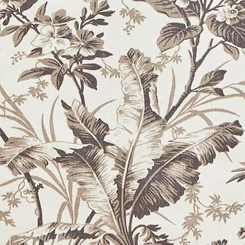 Fernbrook Graphite