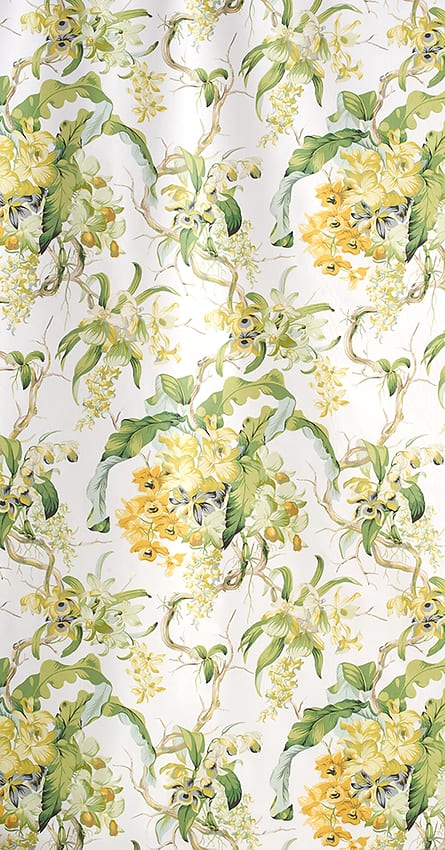 Les Orchidees Lime White