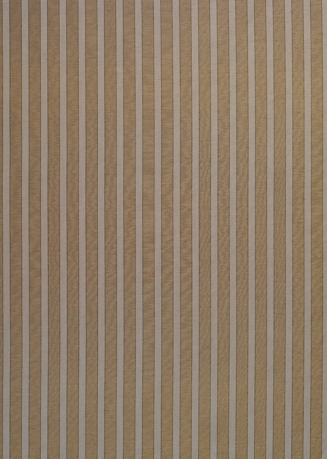 Satin Stripe Gold Chalk