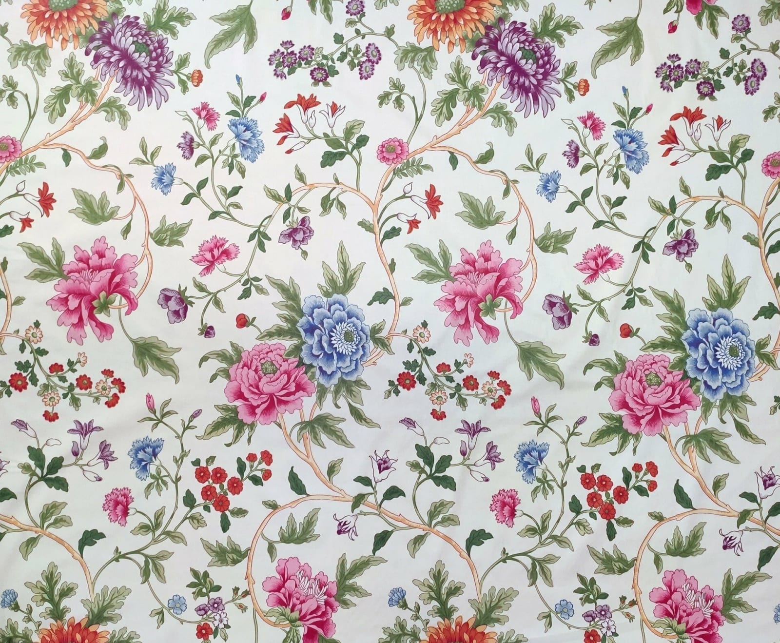 Percale Mousmee Clair Multicolore