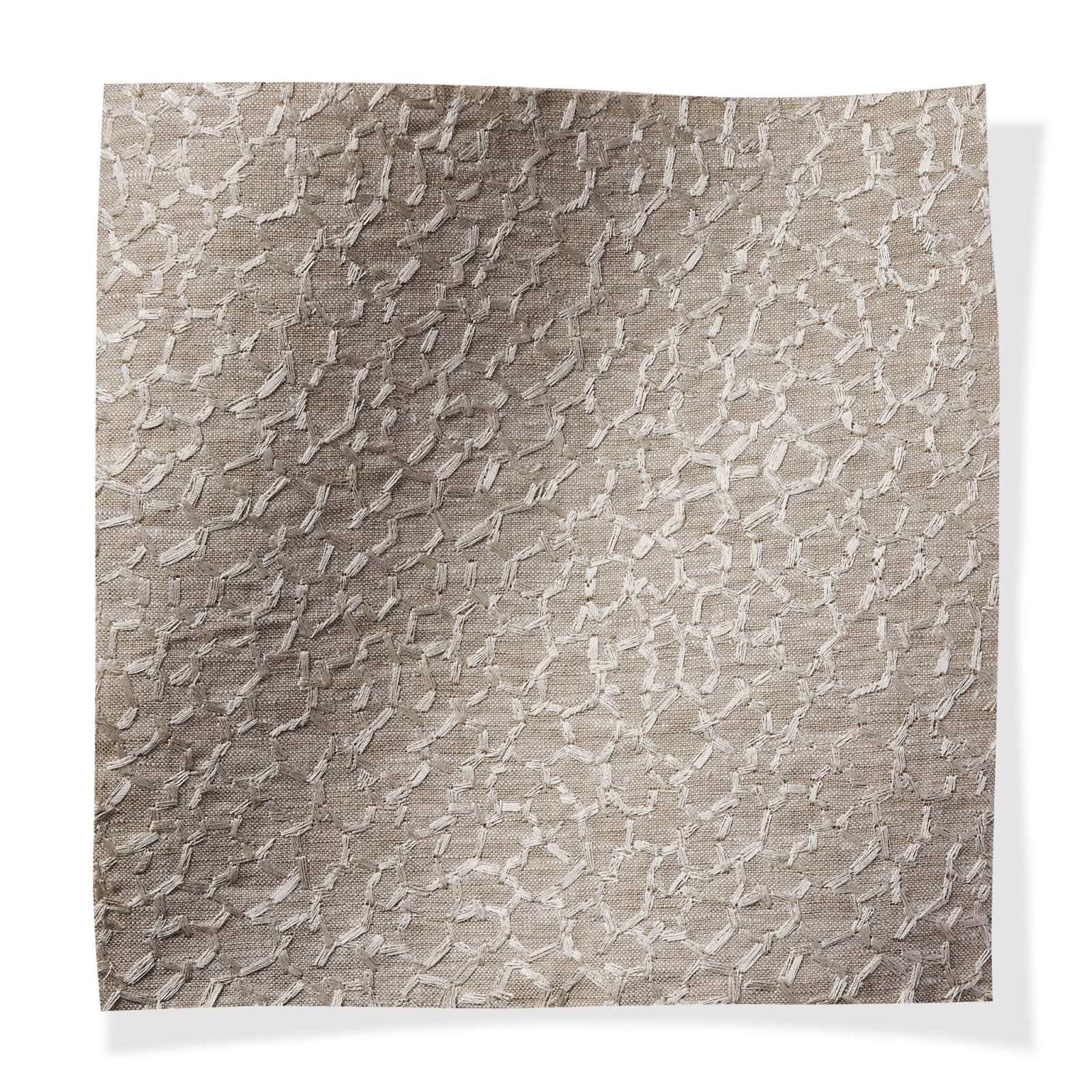 Brise Fossil