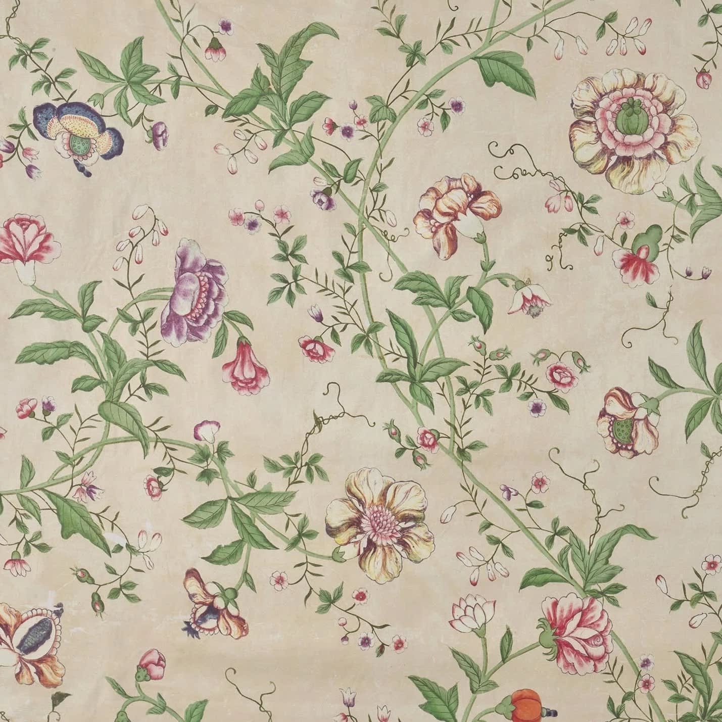 Le Paravent Chinois Chintz Tilleul