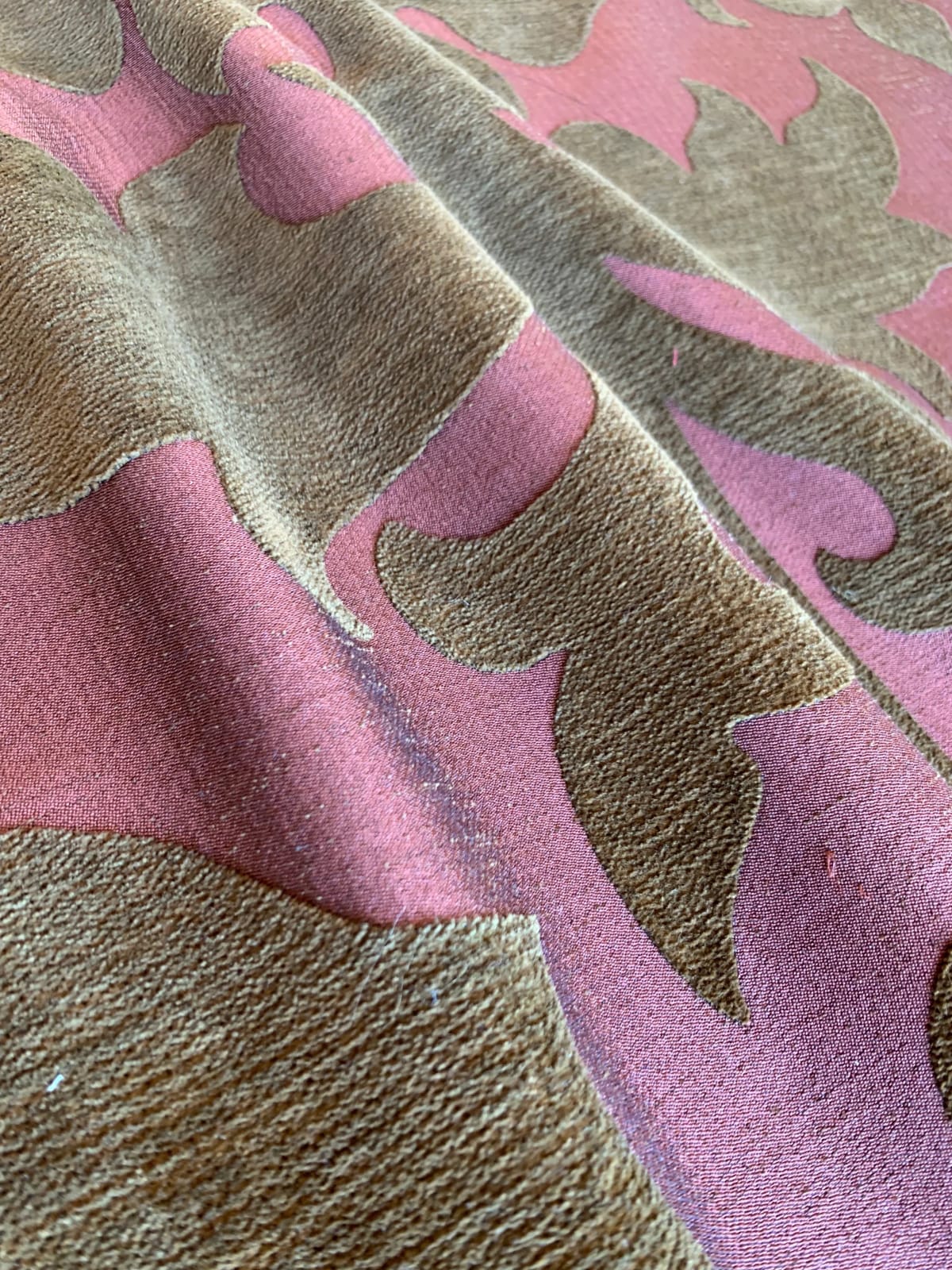 Veronese Cedar Thyme