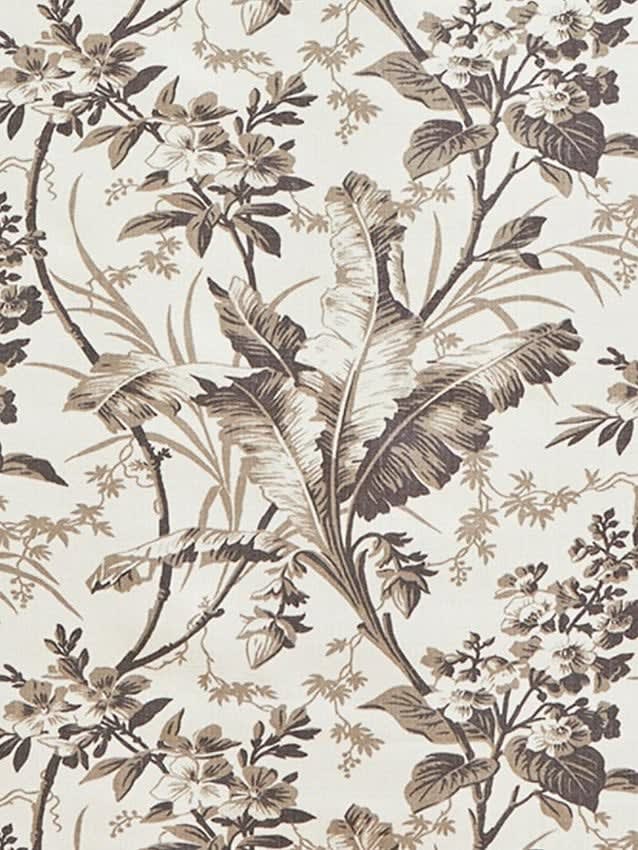 Fernbrook Graphite
