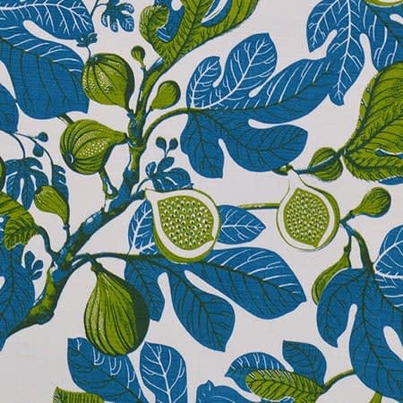 Fanny Shorter, Fig Agni