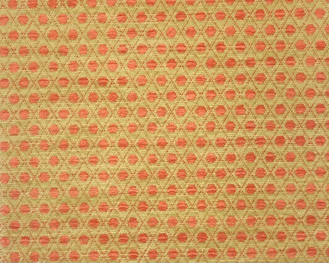 Jane Shelton, Nola Coral