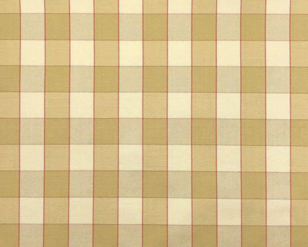 Jane Shelton, Paris Check Green