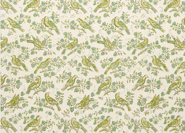 Bulbul Lemongrass