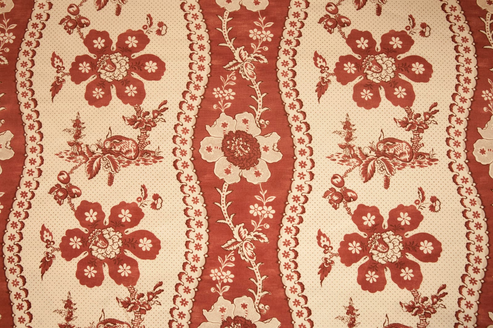 Toile des Lapins Red