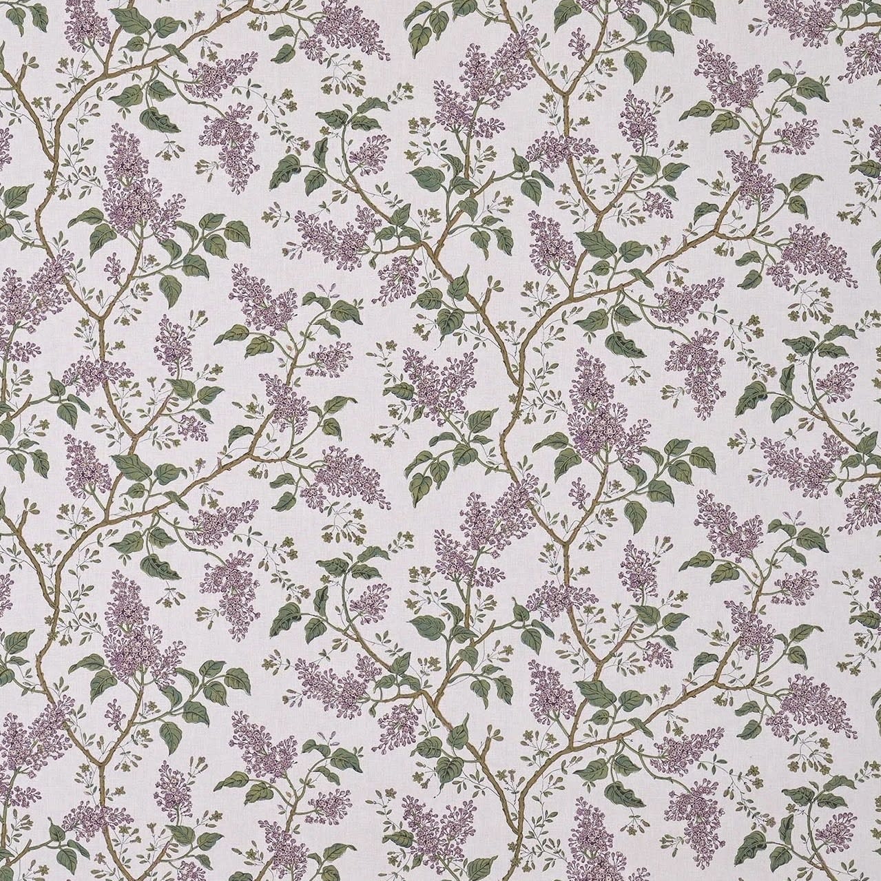 Les Lilas Parme