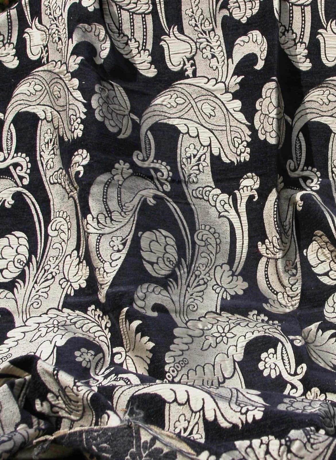 Bruges Baird Black Mushroom