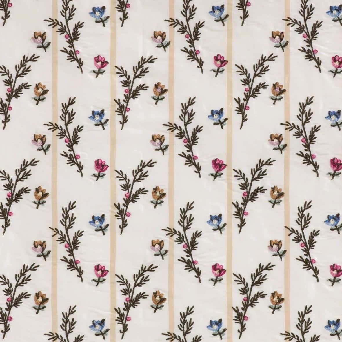 Eglantine Multicolore