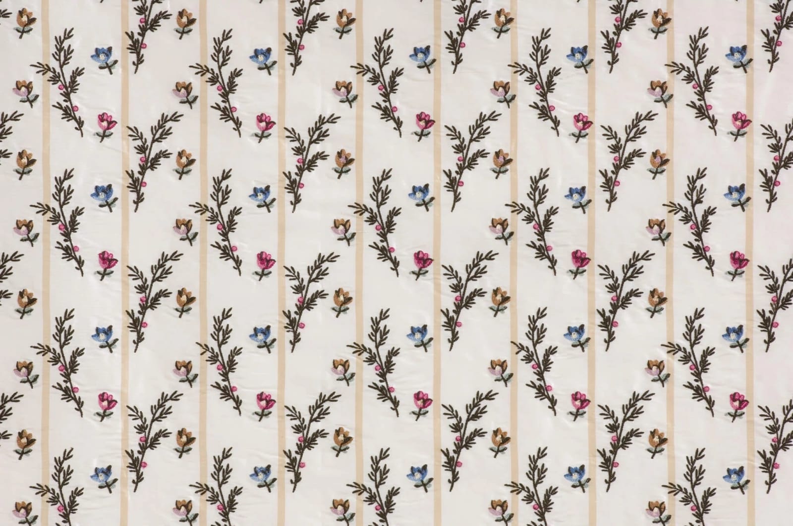 Eglantine Multicolore