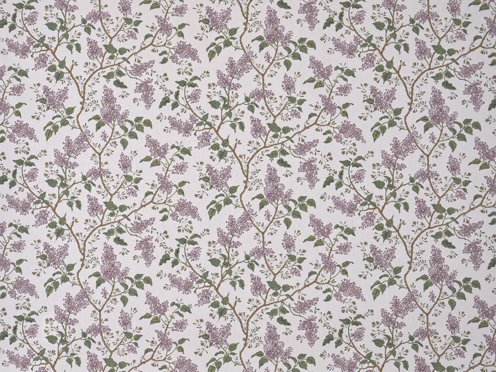 Les Lilas Parme