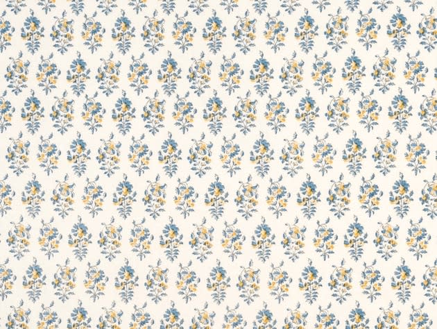 Gisi Cornflower