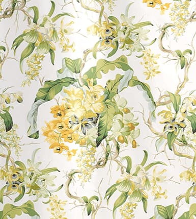 Les Orchidees Lime White