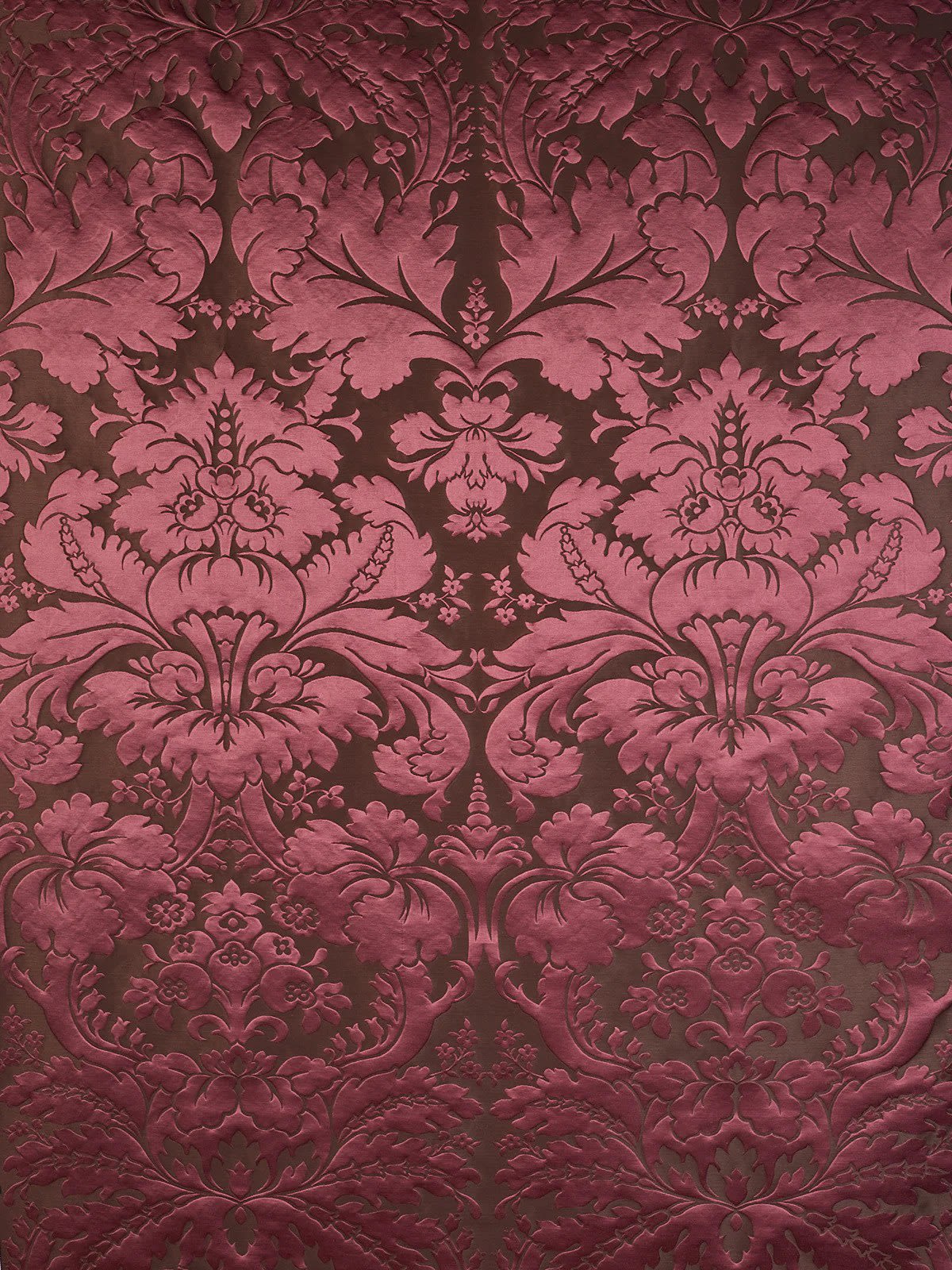 Pemberley Chocolate Plum