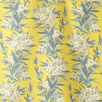 Oleander Canary