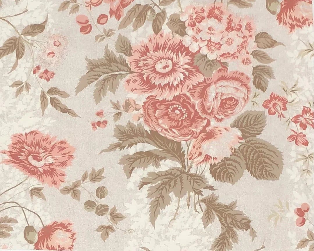 Jane Shelton, Claiborne Corals