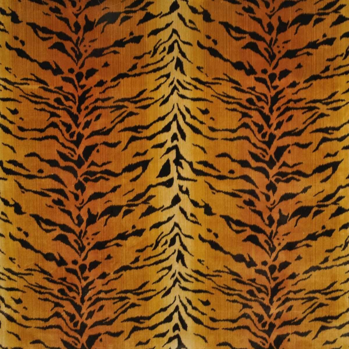 Tanzania Tigre
