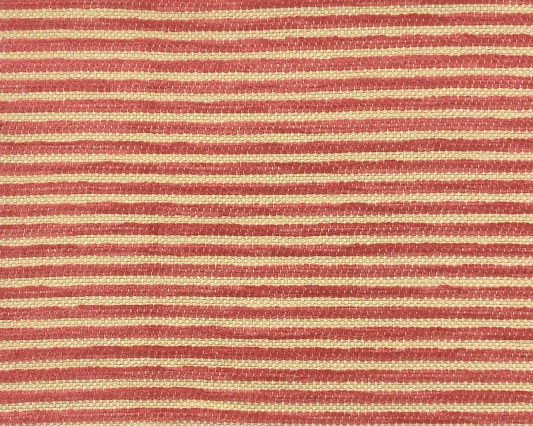 Jane Shelton, Somerset Ivory