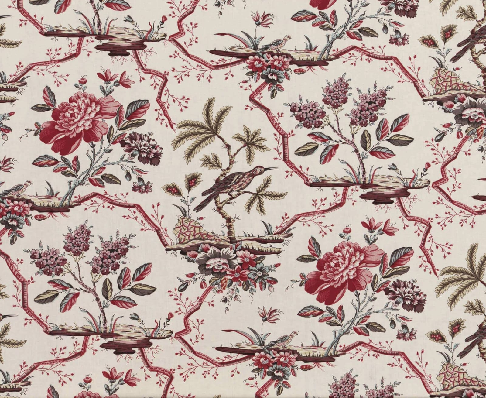 Comtesse De Mailly Multicolore