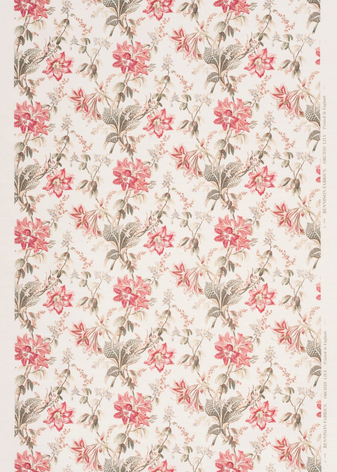 Orchid Lily Pink Green On Oyster
