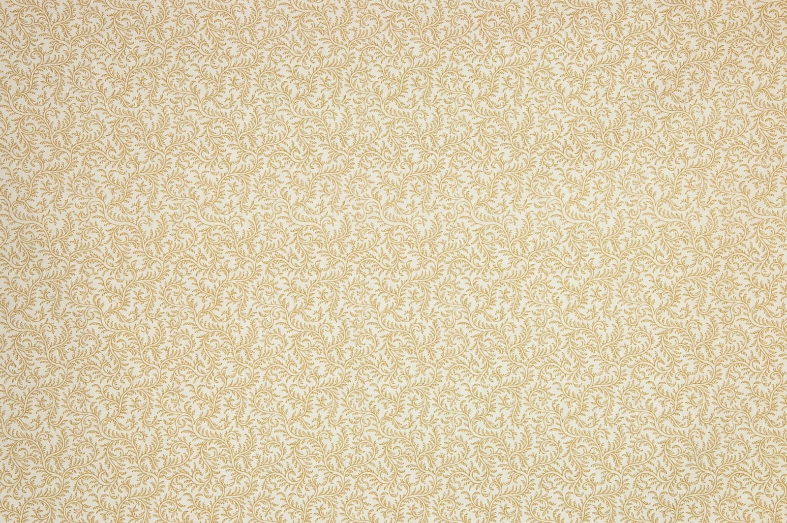 Le Grand Corail Vermicule Assorti Bistre Fond Blanc