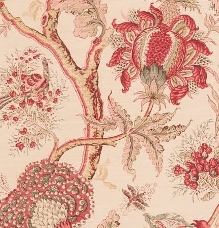 Dragon Flower Pink Green On Oyster