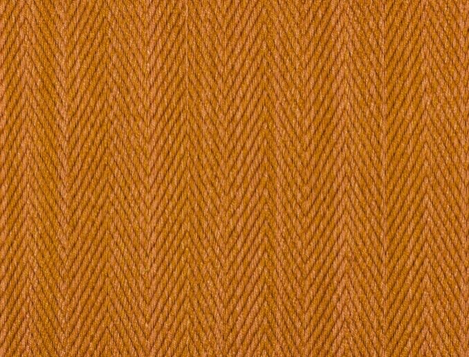 Namay Samay, Hilsa Tiger