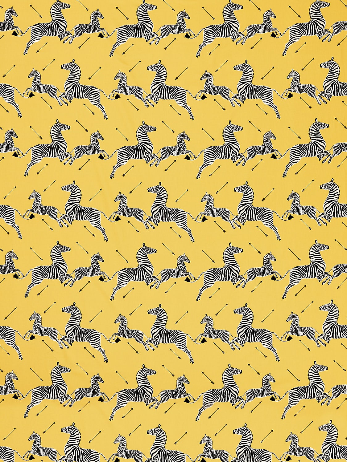 Zebras Petite Yellow
