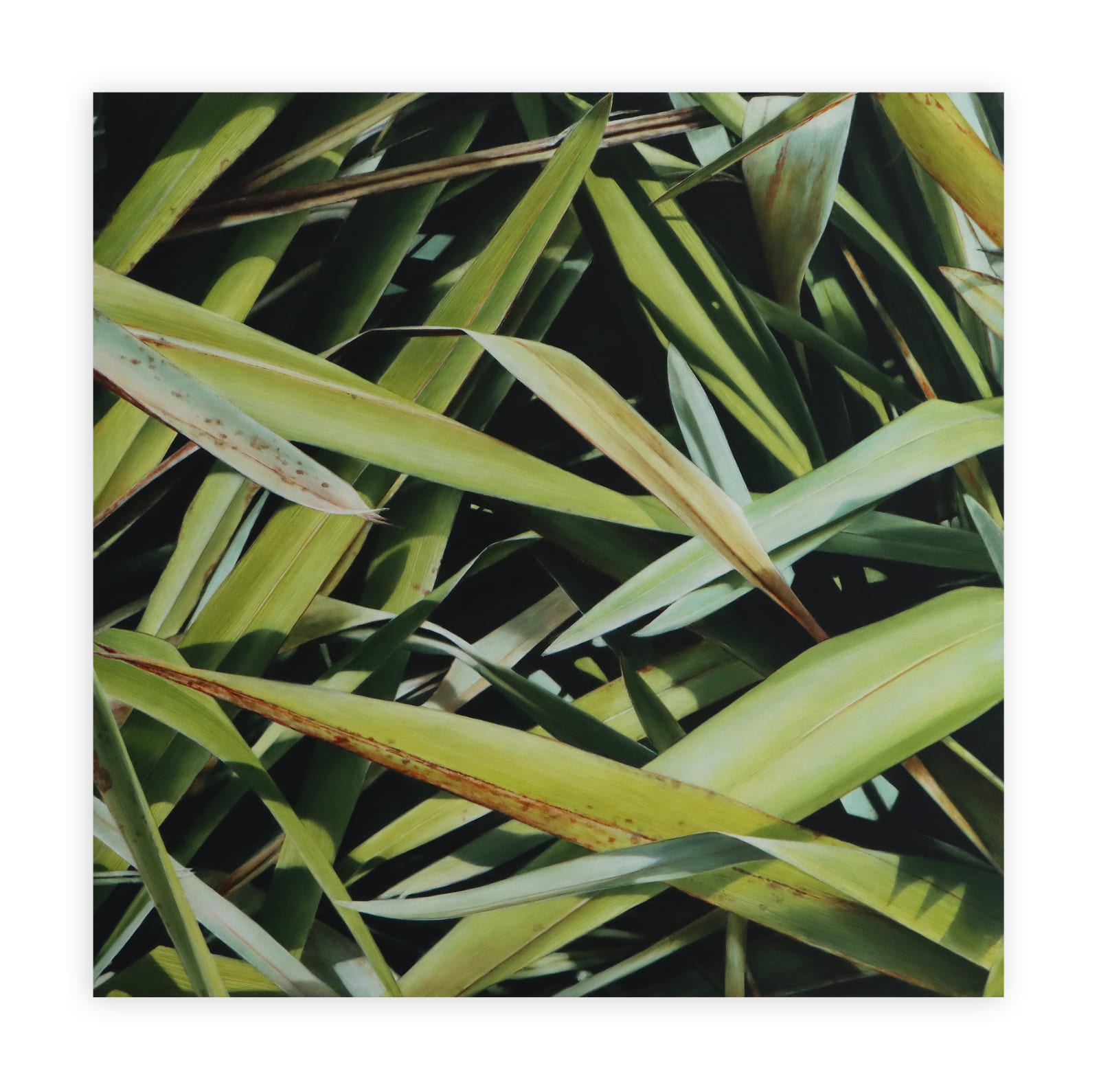 Neal Palmer, Gather Round, 2023