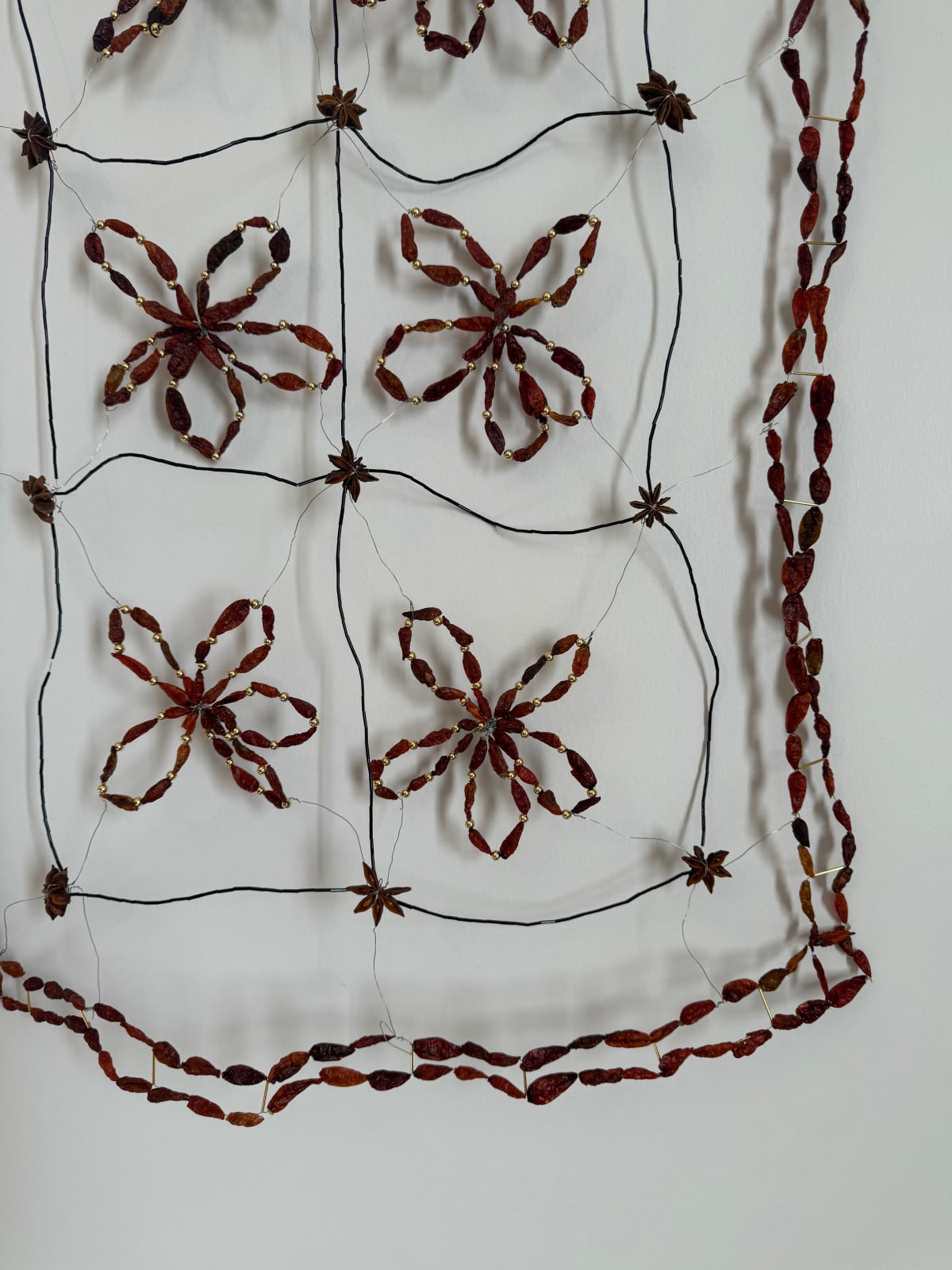 Monica Rani Rudhar, Drawing the Windows