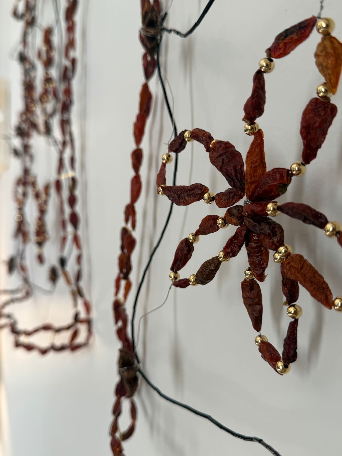 Monica Rani Rudhar, Drawing the Windows