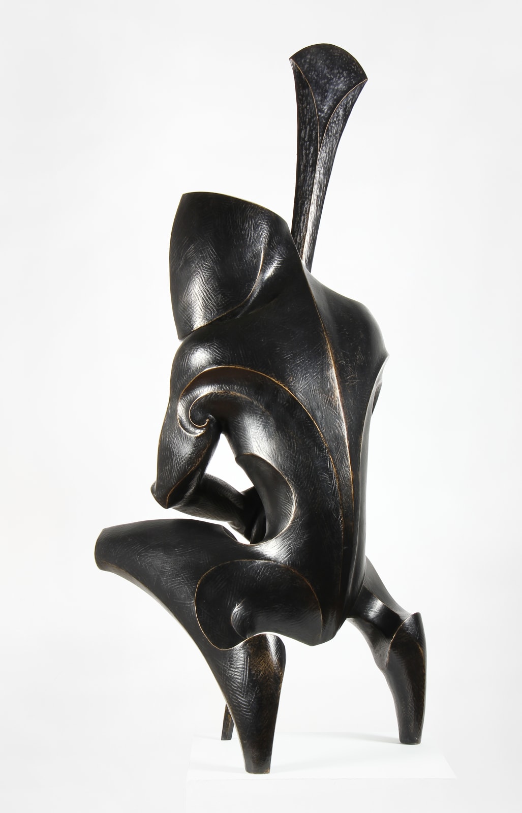 Chris Bailey, Kaitiaki