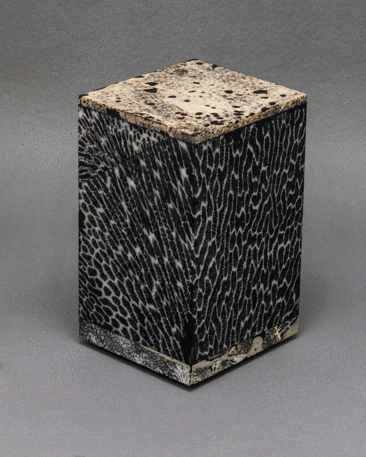 Chauncey Flay, Seawall 1, 2025